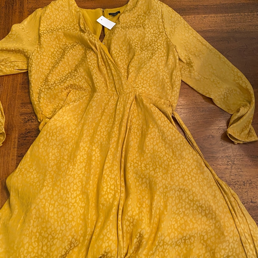 Ann Taylor dress NWT